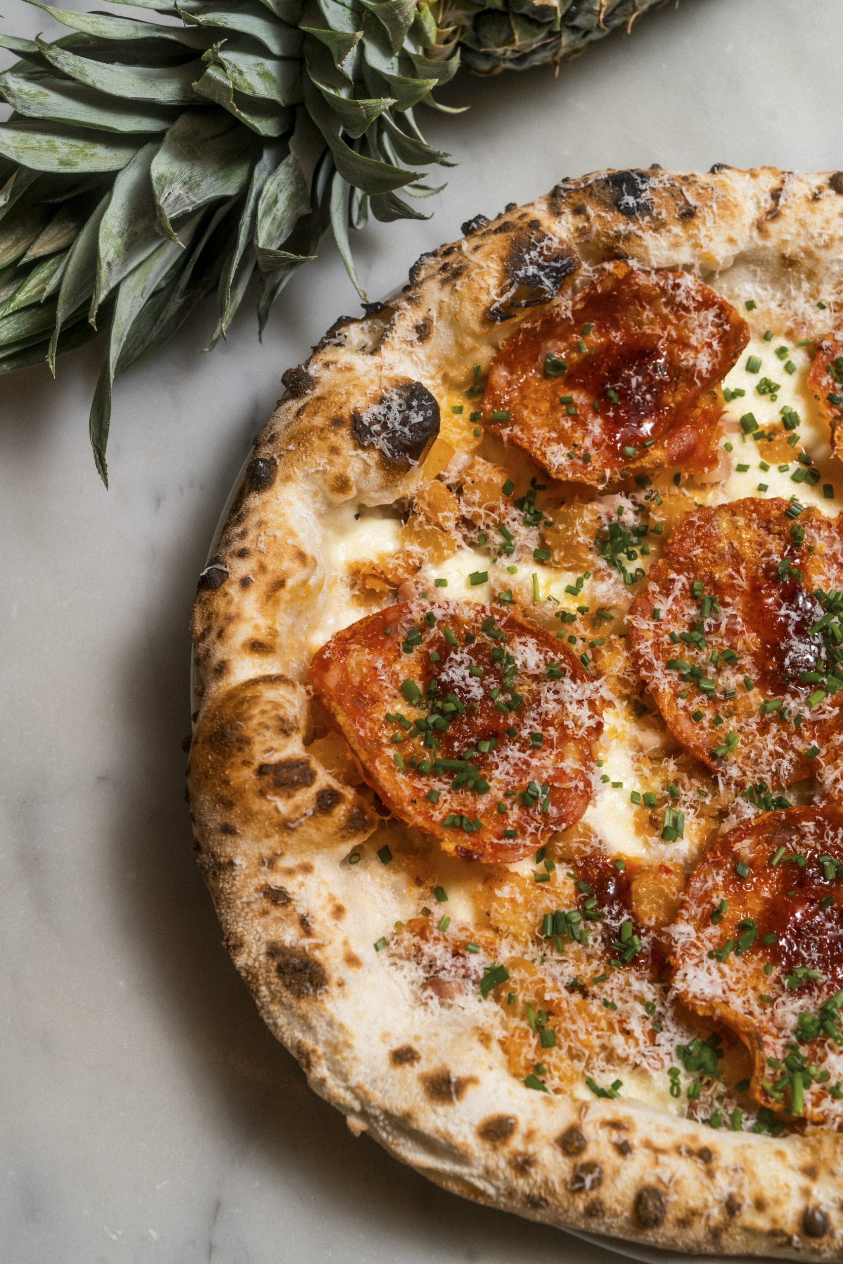 The Bella Disgrazia is BACK